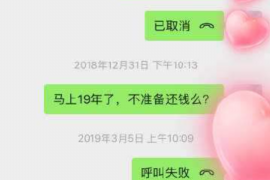 向阳为什么选择专业追讨公司来处理您的债务纠纷？