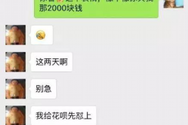 向阳专业讨债公司有哪些核心服务？